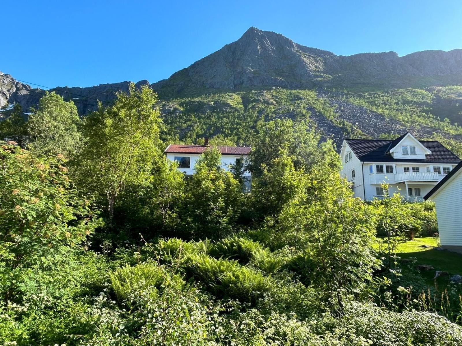 Ferrytale, Cozy, Spacious House On Senja Gryllefjord Zewnętrze zdjęcie
